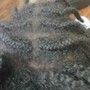 Senegalese Twist