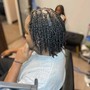 Natural hair Flat Twists