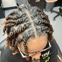 Twists or Braidsover Locs