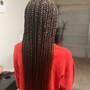 Havana Twists