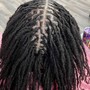 Small starter Locs