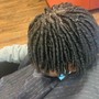 Knotless Braids Small