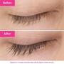 Volume Eyelash Fill