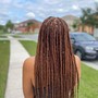 Large Traditional Box Braids