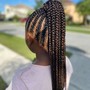 Jumbo Traditional Box Braids