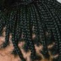 Boho Box Braids