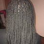 Boho Box Braids