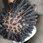 Starter Locs w/ YOUR Extensions