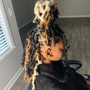 Butterfly locs shoulder length