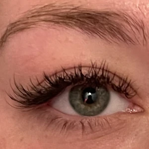 I Need Help! I Got My Lashes Done Yesterday And Half Of My Left Eyes  Extensions Fell Out Because I Rubbed My Eyes When I Was I Ordered A Silk  Eye