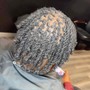 Starter Locs ( Short length or partial head )