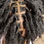 Retwist + Locs Repair