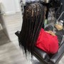 Comb Twist ( starter locs)