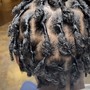 Natural Twists/ 2 strand starter locs