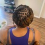 Adult no weave braids