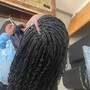 Starter locs