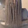 Large Senegalese Twist