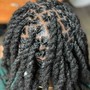 Loc Coils