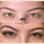 Eyebrow Wax + Tint or Henna + Shaping &amp; Style