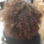 Root Touch Up