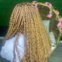 Medium Box Braids