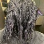 Root Touch Up