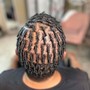 Loc Coils Starter Locs