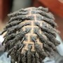 Starter Locs ( short to medium length )