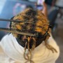 Loc Extensions