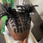 Starter Locs