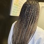 Ombre Loc Hair Extensions