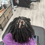 Starter Locs