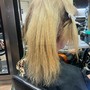 Bleach Root Touch Up