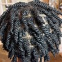 2 strand twist