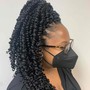 2 strand Twist with Natural Hair