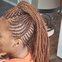 Havana Twists