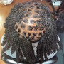 Starter Locs