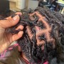 Root Touch Up