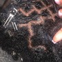 Loc Coils/ Starter Twist