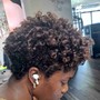 Shampoo & sponge-twist short natural hair only