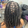 Loc Re-twist w/ 2 strand twist