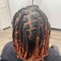 Loc Re-twist w/ 2 strand twist