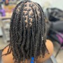 Loc Re-twist w/ 2 strand twist