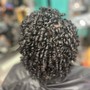 Two Strand Twists