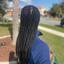 Medium Traditional Box Braids