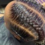 Feed in Braids 2-4