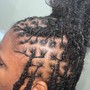 Natural Twists (MICRO-TWISTS)