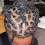 Natural Twists (MICRO-TWISTS)