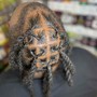 Interlocking locs