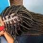 Box Braids ( Small)